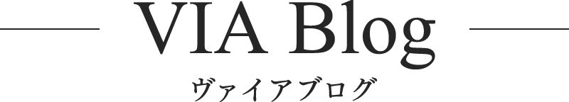 ヴァイアブログ